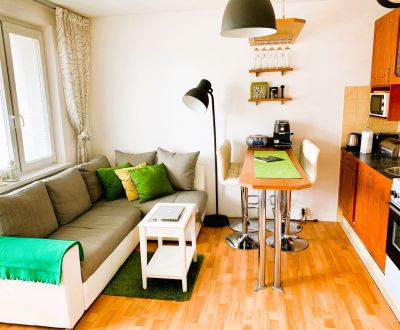 Priestranný 1 - izbový byt – 45 m², lokalita: Trnávka