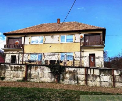 Rodinný dom s 2 bytovými jednotkami, veľkým pozemkom a hospodárskym zá