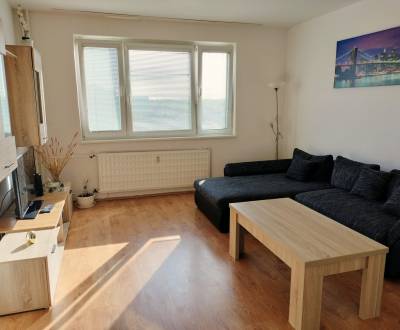 3-izbový byt na prenájom v Šali-Veči