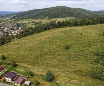 Predaj komplexu pozemkov určených na výstavbu v Turzovke (MO)