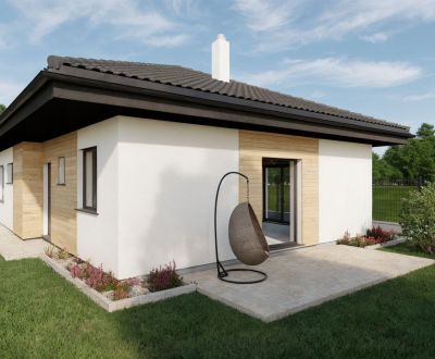 4iz RD (v štandarde + zámková dlažba, terasa) Drahovce