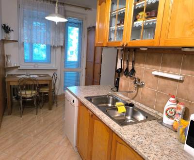 Prenájom 3 izbový byt s lodžiou, Kempelenova ulica, BA IV. Karlova Ves