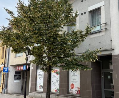Na predaj veľký 1 izbový byt v úplnom centre mesta Trnava!