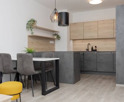 KLIMATIZOVANÝ 2IZB BYT, 51M2 PODLAHOVÁ PLOCHA, SLNEČNICE - MESTO