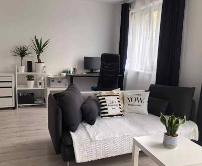 1,5 izb. byt s predzáhradkou, Podunajské Biskupice, projekt Oppidum