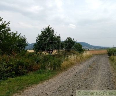 Pozemok na okraji obce pri Bardejove - 16árov