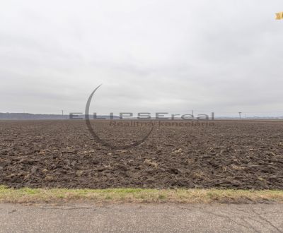 NA PREDAJ orná pôda pri ceste o výmere 48.424 m2 v obci Zohor