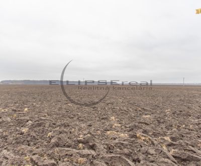 NA PREDAJ orná pôda pri ceste o výmere 11.772 m2 v obci Zohor