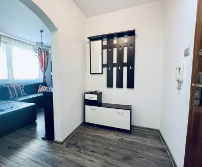 A-W REAL I PREROBENÁ GARSÓNKA SO ZARIADENÍM V CENTRE MESTA