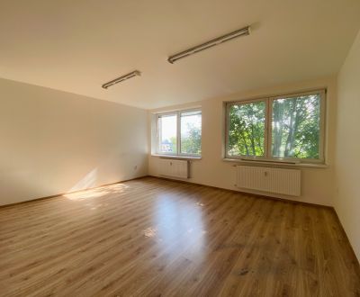 Administratívne priestory na Priemyselnej ulici - 30 m2