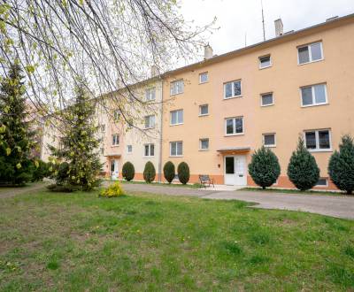 TOP LOKALITA - 2i 53m² + loggia - Dlhé Hony