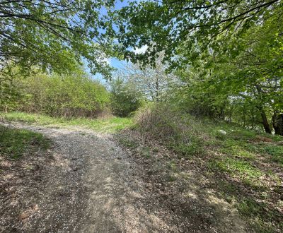 Rekreačný pozemok 1 701 m² v atraktívnej lokalite Častá – Píla