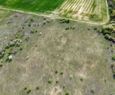 Pozemok v Modre s výmerou až 58.977 m2