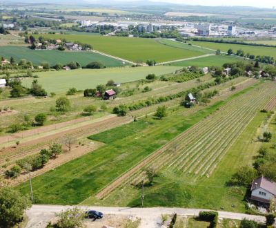 Rekreačný pozemok s výmerou 4.624 m2 vo vinárskej oblasti vo Vrábľoch