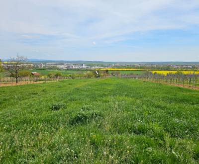 Rekreačný pozemok s výmerou 4.624 m2 vo vinárskej oblasti vo Vrábľoch