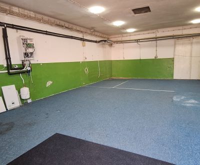 Na prenájom skladový priestor 88 m² v Galante 