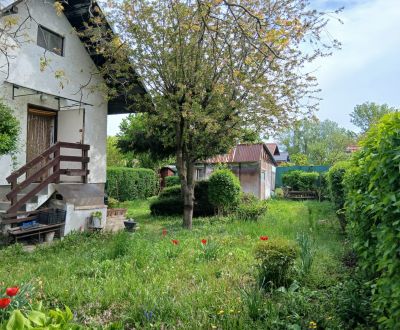 Na predaj záhrada s chatou, Hamuliakovo, Havrania ulica, okr. Senec