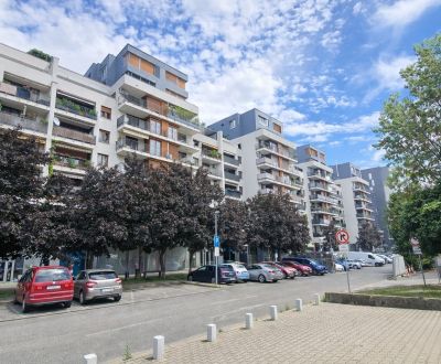 Priestranný 3i byt, loggia, parking, projekt Boria, Drieňová, Ružinov