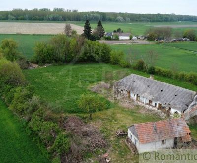 SAMOTA PRI MALOM DUNAJI LEN 7 KM OD KOLÁROVA – POZEMOK, AKÝ SA OBJAVÍ 