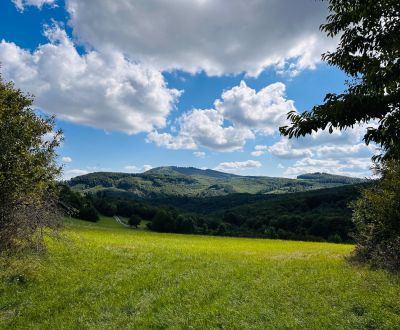 Zbudská Belá, Radvaň nad Laborcom – 20.004 m2 LESY a ORNÁ pôda