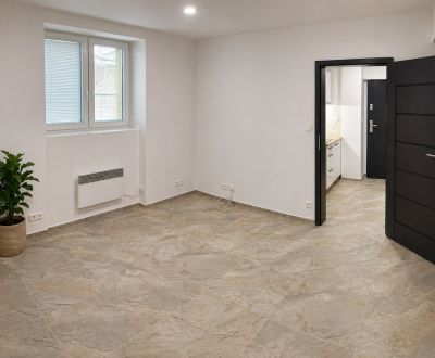 Zrekonštruovaný nebytový priestor (1 izbový byt) vo výbornej lokalite
