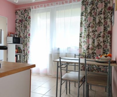 Velkometrážny 2 izbový byt Hlboká ulica Čermáň 