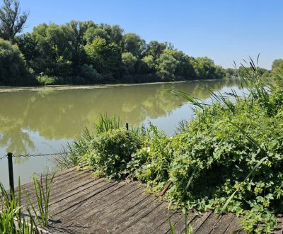 Slnečný pozemok pri vode Malý Dunaj, Nová Dedinka, Senec