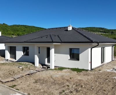 Krásny samostatný rodinný dom s garážou, 600m2 - Vinosady, Pezinok