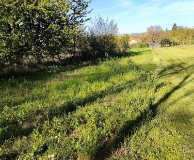 Vaša oáza pokoja v Branči- 723m2 v rekreačnej oblasti. Branč,okr.NR.