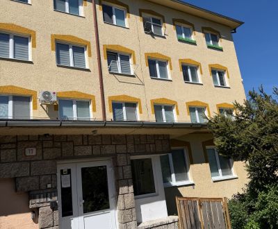 Ponúkame na prenájom 1 izbový byt v Handlovej 
