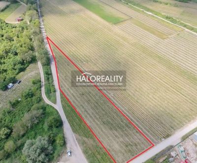 Predaj, pozemok   3801 m2 Svätý Jur - EXKLUZÍVNE HAL...