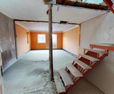 (462 m²) DOM PODĽA VLASTNÝCH PREDSTÁV
