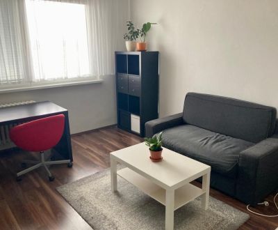 NA PRENÁJOM ÚTULNÝ 1-IZBOVÝ BYT, ČIASTOČNÁ REK., KAROLA ADLERA, BA