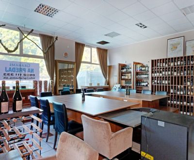 Obchodný priestor 107 m² – showroom alebo klinika, vstup z ulice