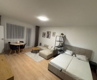 Predaj veľký 1 izbový byt, čiastočná rekonštrukcia, Drobného ulica.