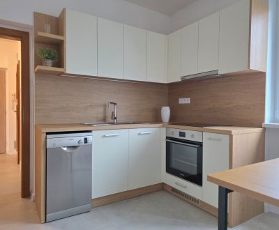 PRENÁJOM - Priestranný 3 izbový byt - Nitra, Centrum