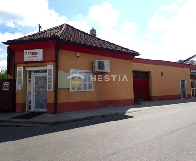 Podnikateľský objekt s pozemkom na predaj Borský Mikuláš
