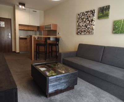 Predaj! Exkluzívny apartmán v Demänovskej doline – Jasná na dosah