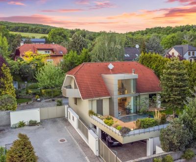 4-izbový dom 390m2 + pozemok 1000m2  | Limbach