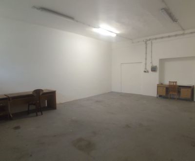 Prenájom haly / skladu / autoservisu – 134 m² Galanta