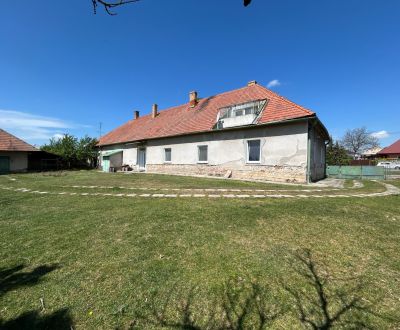Kúria panský dom s rozsiahlym pozemkom 6345m2 v obci Čifáre (okres NR)