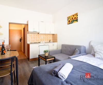 1 izbový byt + apartmán priamo pri svahu na Donovaloch