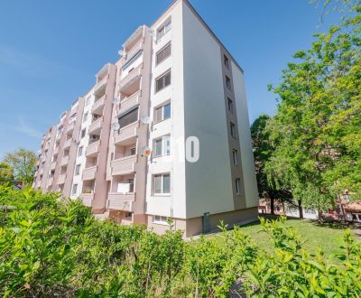 Veľký 3i byt s balkónom, Nitra - Čermáň (2x klimatizácia)