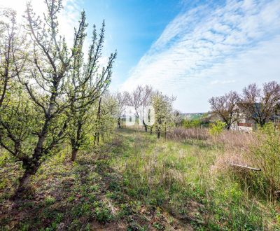 Na predaj 2.000 m2 pozemok - 3 min. od mesta Nitra