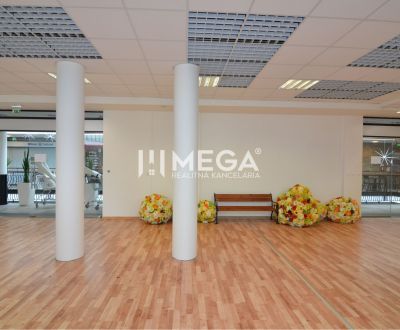 NOVÁ ZNÍŽENÁ CENA NA PRENÁJOM PRIESTOR 108,5 m² v OC Avenue