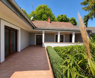 Útulný rodinný dom s veľkou prekrytou terasou, Nickelsdorf