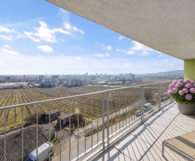 PREDAJ 4-izbový mezonet s krbom a garážou, Bratislava-Krasňany