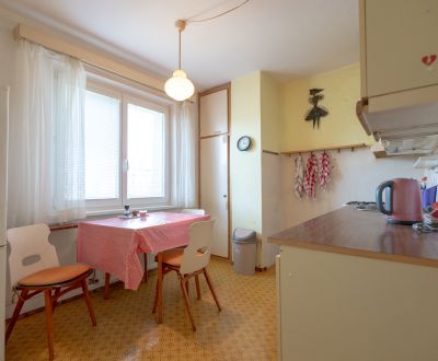 VEĽKÝ - 3i 76 m2 + loggia - Nová Dubnica