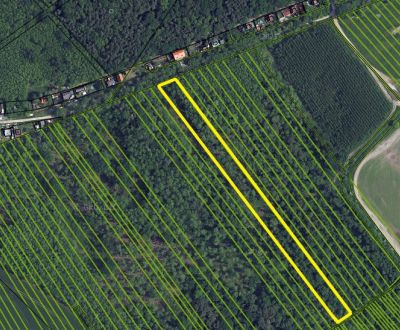 1.BCR | ORNÁ PÔDA, ŠIROKÝ POZEMOK, STUPAVA - MÁST