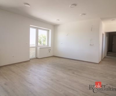 Na predaj 2izb. byty a apartmány Mojmírovce